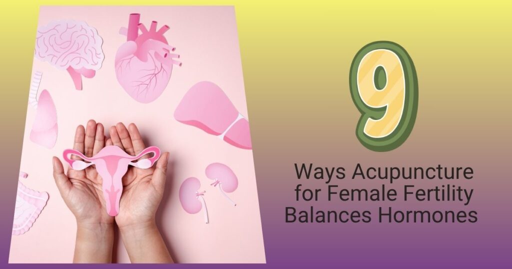 Image of a female ovary gently supported in a hand, symbolizing Acupuncture for Female Fertility's role in enhancing female fertility and hormonal balance.